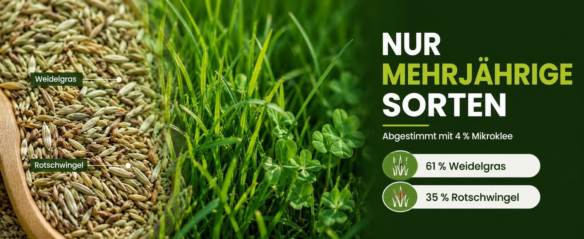 EcoDeco Mikroklee Rasenmischung mit Mikroklee, Rasen mit Mikroklee, mehrjährige Grassamen für Sonne und Halbschatten, 5 kg