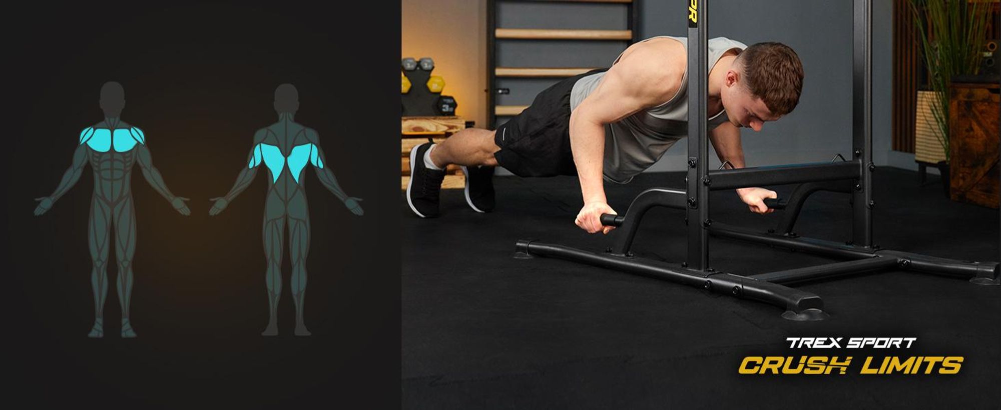 TREX SPORT Power Tower Dip Station & Klimmzugstange freistehend TX-150PR | multifunktionaler Kraftturm mit Expandern | Fitness Kraftstation bis 150 kg