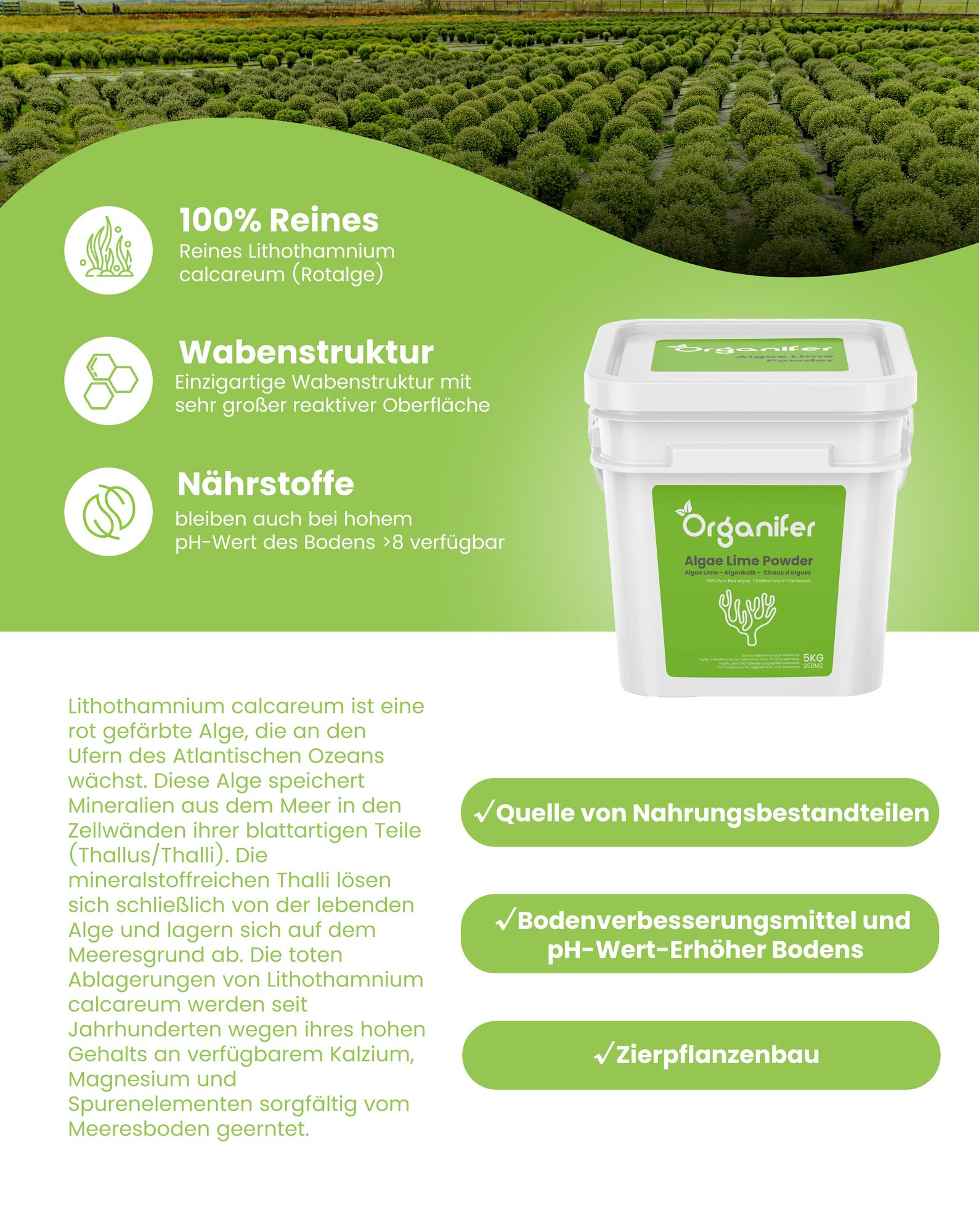 Algenkalk-Pulver - Reines Lithothamnium calcareum (10 kg für 500 m2)- Organifer