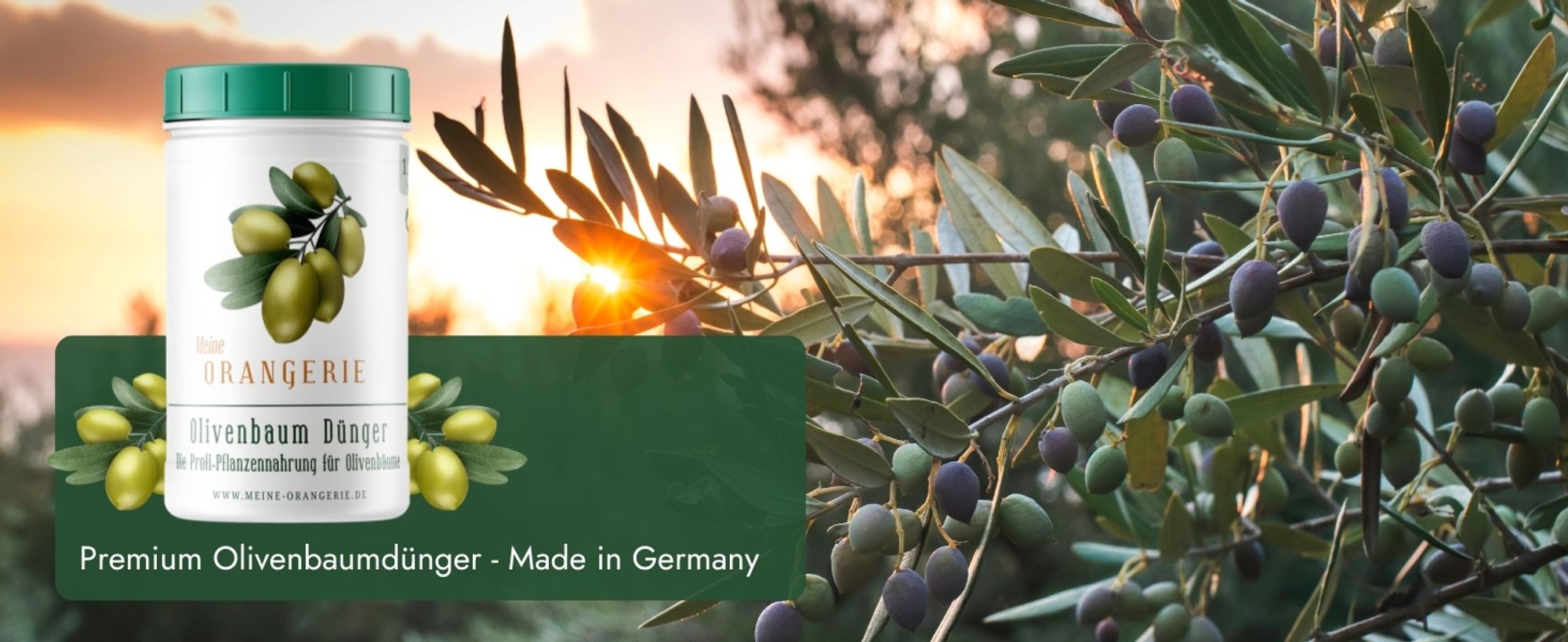Meine Orangerie Olivenbaum Dünger [1kg] - Premium Pflanzendünger für Olivenbäume- Verzichten Sie auf Fertig Flüssig Dünger für Ihre Pflanzen - Dünger Olivenbaum - Olive Tree Fertilizer