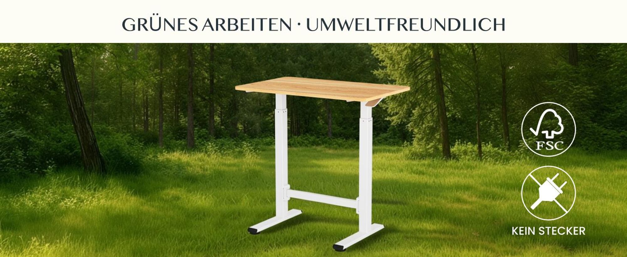 FLEXISPOT Gasfeder Höhenverstellbarer Schreibtisch 80×50 cm – stufenlos manuell verstellbar, Steh-Sitz-Tisch ohne Strom, mobil mit Rollen (Ahorn)