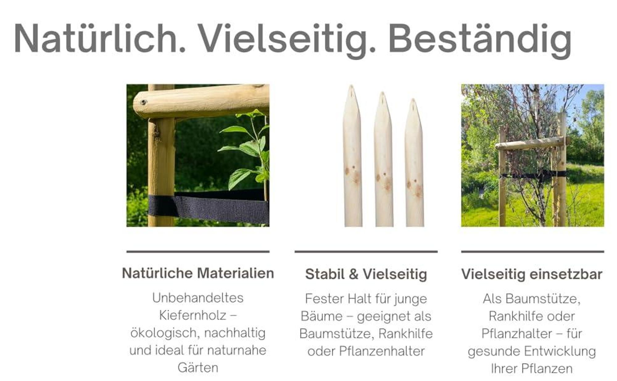TIMBERMIK Baumstütze Komplettset Rankhilfe Baumpfahl ø 7cm Länge: 200 cm Pflanzenhalter 3 x Holzpfosten 3x Schwarze Baumgurte und 6x Halbpalisaden