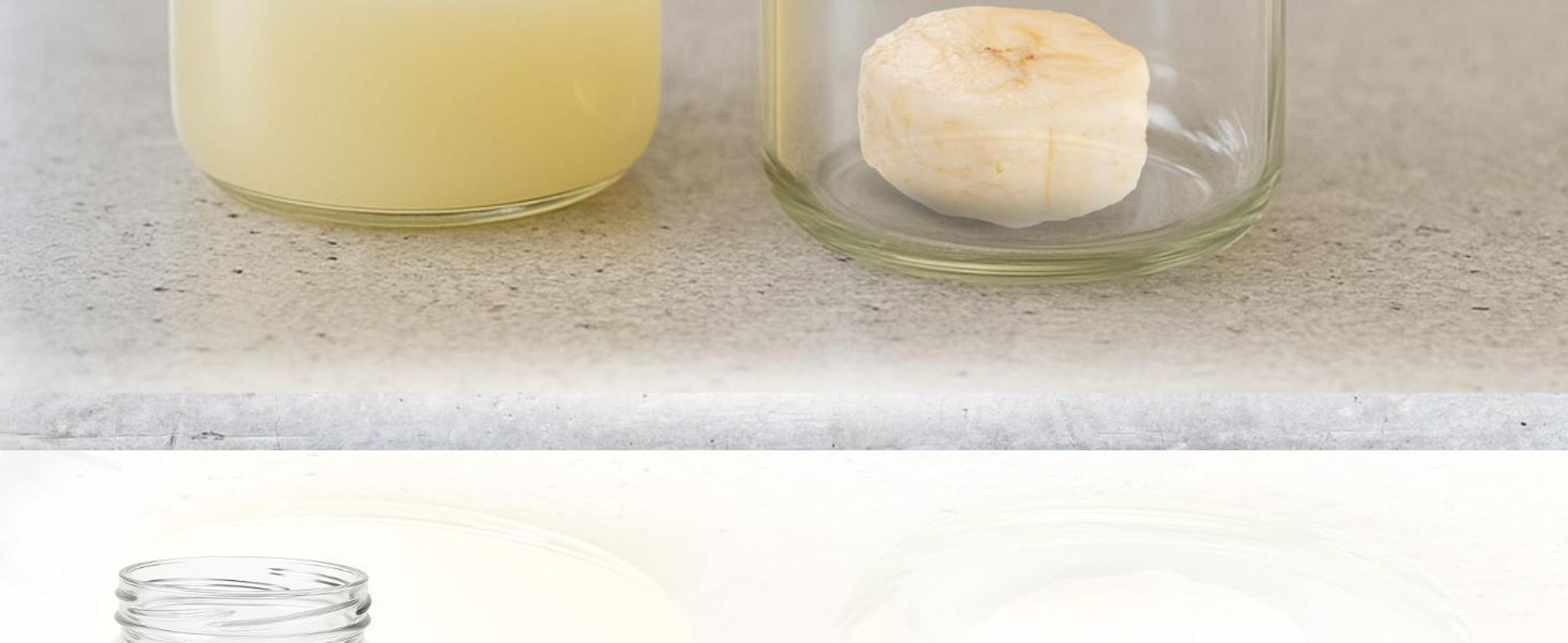 HAVENHAUS Fruchtfliegenfalle dunkelgrau wiederverwendbar 2er Set | Obstfliegenfalle für Küche | Fruchtfliegen dauerhaft loswerden | Fruit Fly Trap