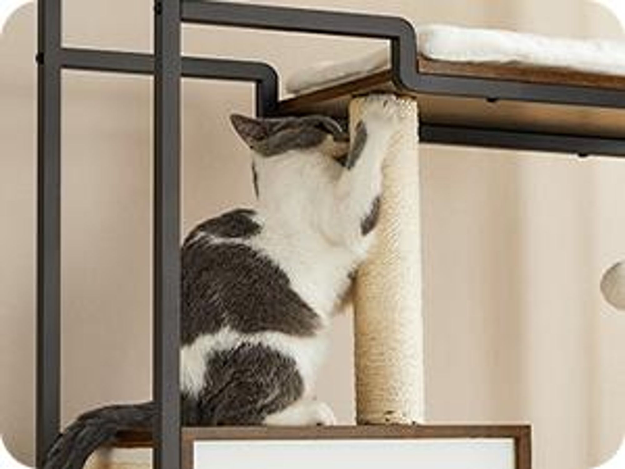 FEANDREA Kratzbaum, Katzenbaum,2-in-1-Möbel,große obere Ablagefläche,Kissen