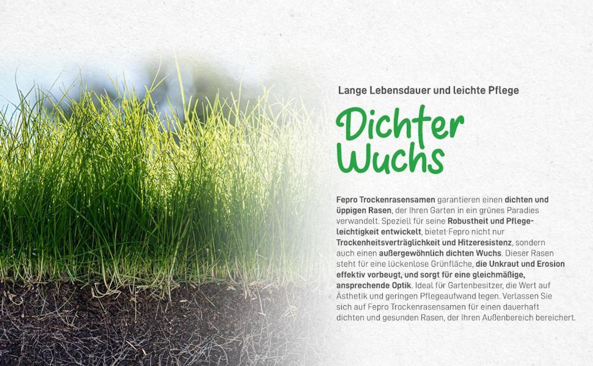 1 kg Rasensamen trockenresistent dürreresistent für Trockenrasen & Schattenrasen Samen Grassamen schnellkeimend, 40m², ideal für Neuansaat und Nachsaat, Rasensaat Grassamen
