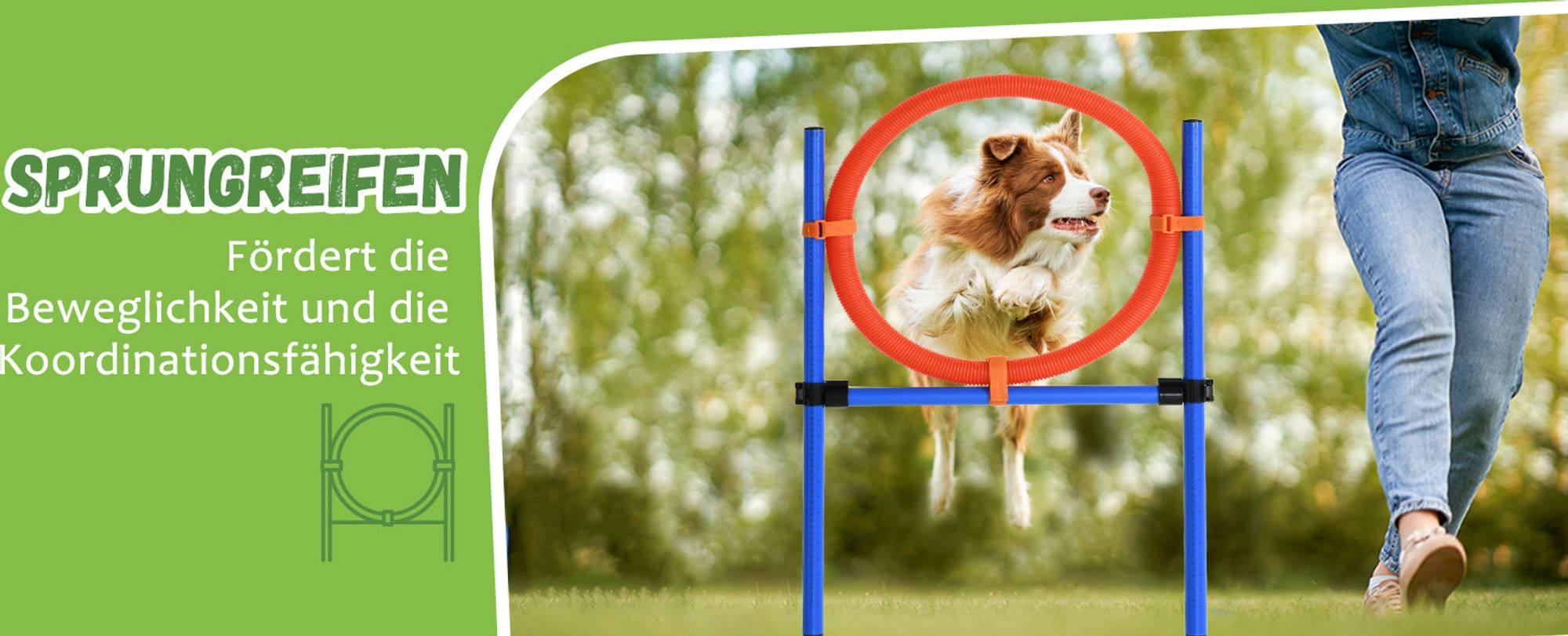 Pawhut Hunde Agility Slalom Übung Hundesport Training Reifen Hürde Set 2 Modelle