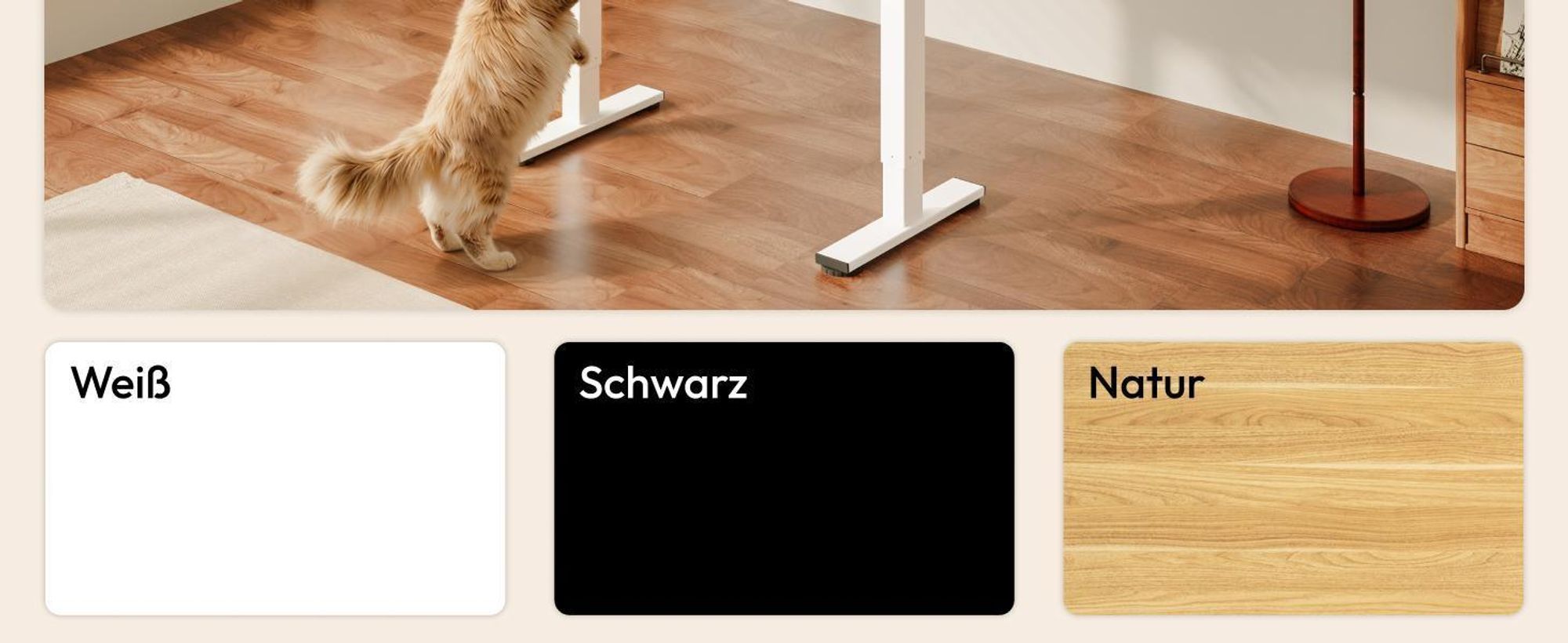 SANODESK QS1 Höhenverstellbarer Schreibtisch 200x80cm elektrisch 4 Memory-Funktion Antikollisionsschutz 70 kg Tragkraft Haken Kabelmanagement (Ahorn)