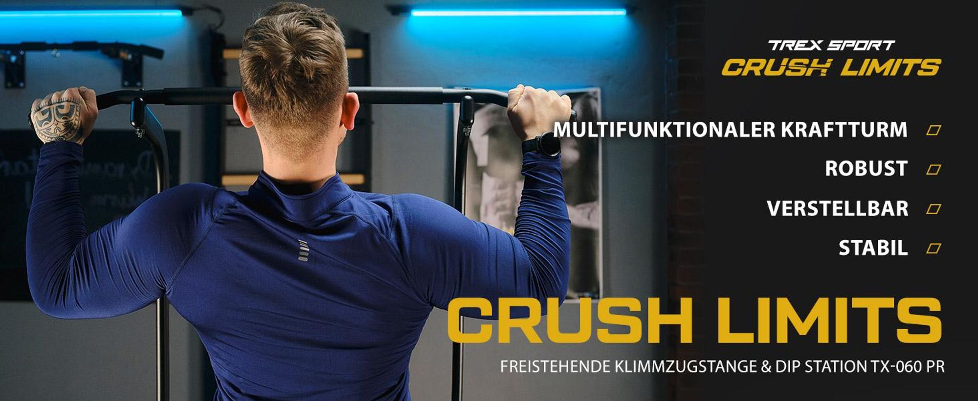 TREX SPORT Power Tower Dip Station & Klimmzugstange freistehend TX-060PR | multifunktionaler Kraftturm für zuhause bis 150 kg