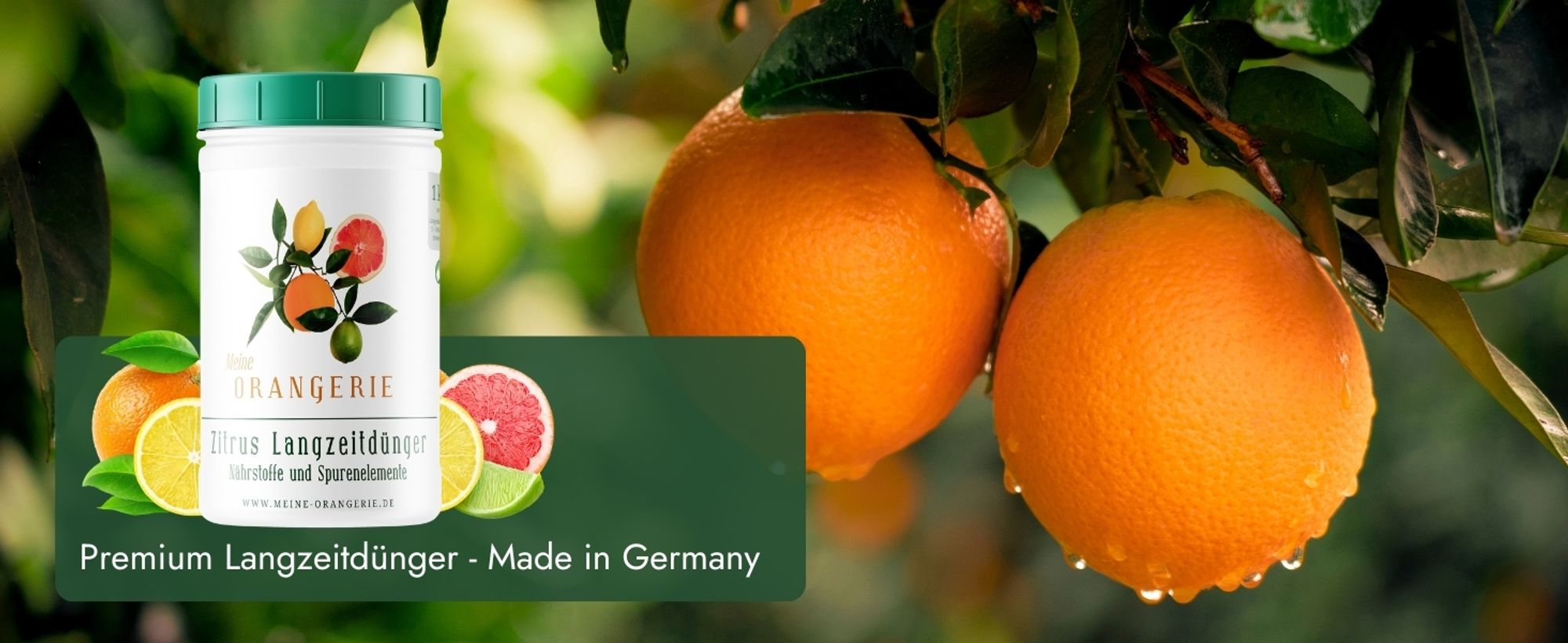 Meine Orangerie - Langzeit-Zitrusdünger [1kg] - Profi Zitruspflanzendünger - Gleichmäßige Langzeit-Wirkung für 6 Monate