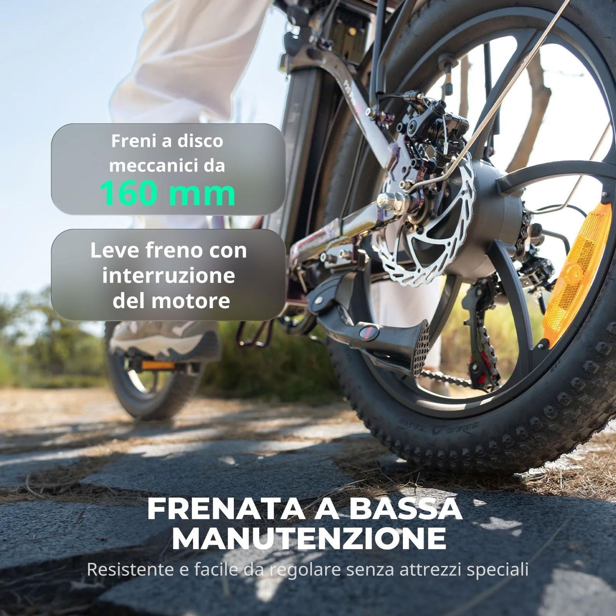 Bicicletta Elettrica FAFREES F20 Pro - Motore 250W Batteria 36V20Ah Pneumatici Da 20" Freni A Disco Meccanici - Aurora Blu