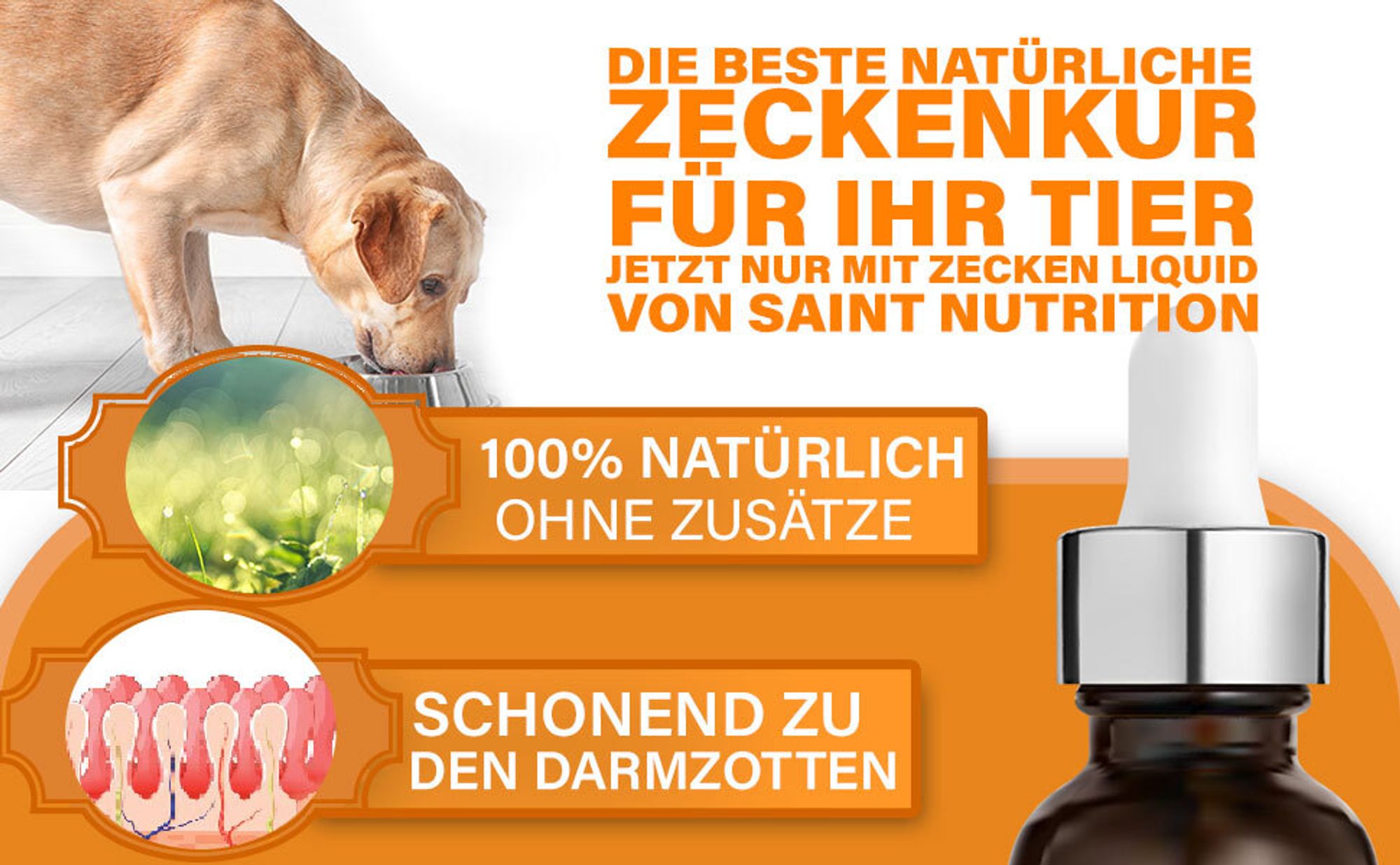 Saint Nutrition® Zeckenschutz ÖL – zum Schutz vor Zeckenbefall – für Hunde und Katzen – Zeckenschutz Hund – keine Zecken – Zecken Liquid - 50 ml