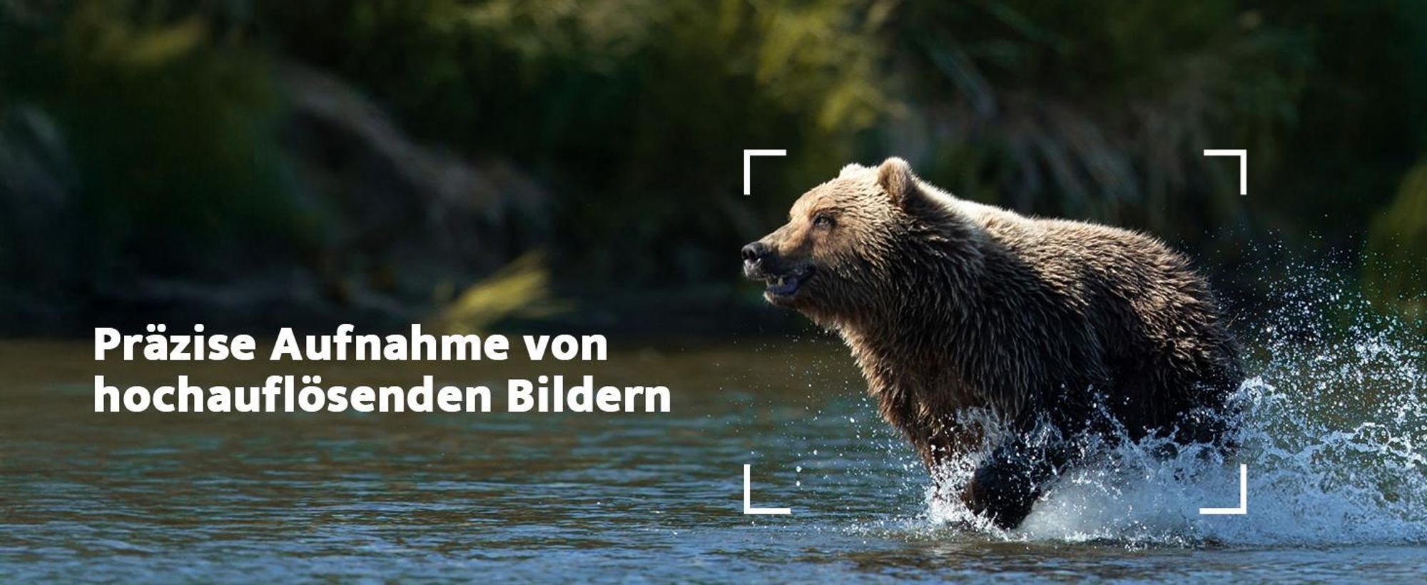 Usogood 4G LTE Wildkamera mit SIM Karte Solar, 2K Video Wildtierkamera mit Handyübertragung APP, GPS, Nachtsicht, 0.2s Auslöser