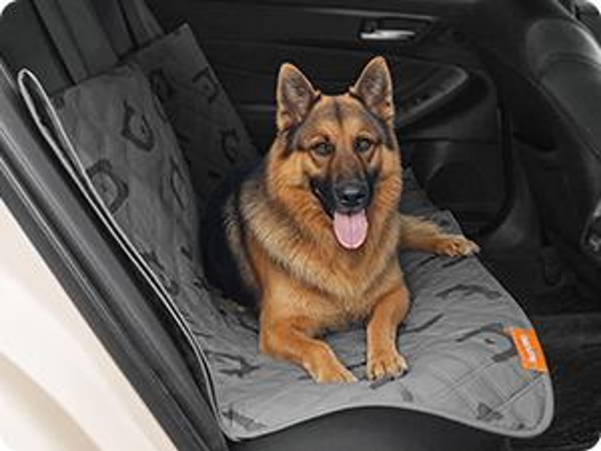 Feandrea Wasserdichte Hundedecke, Decke, 208 x 173 cm, Autoschondecke für Haustiere, Sofaschutz