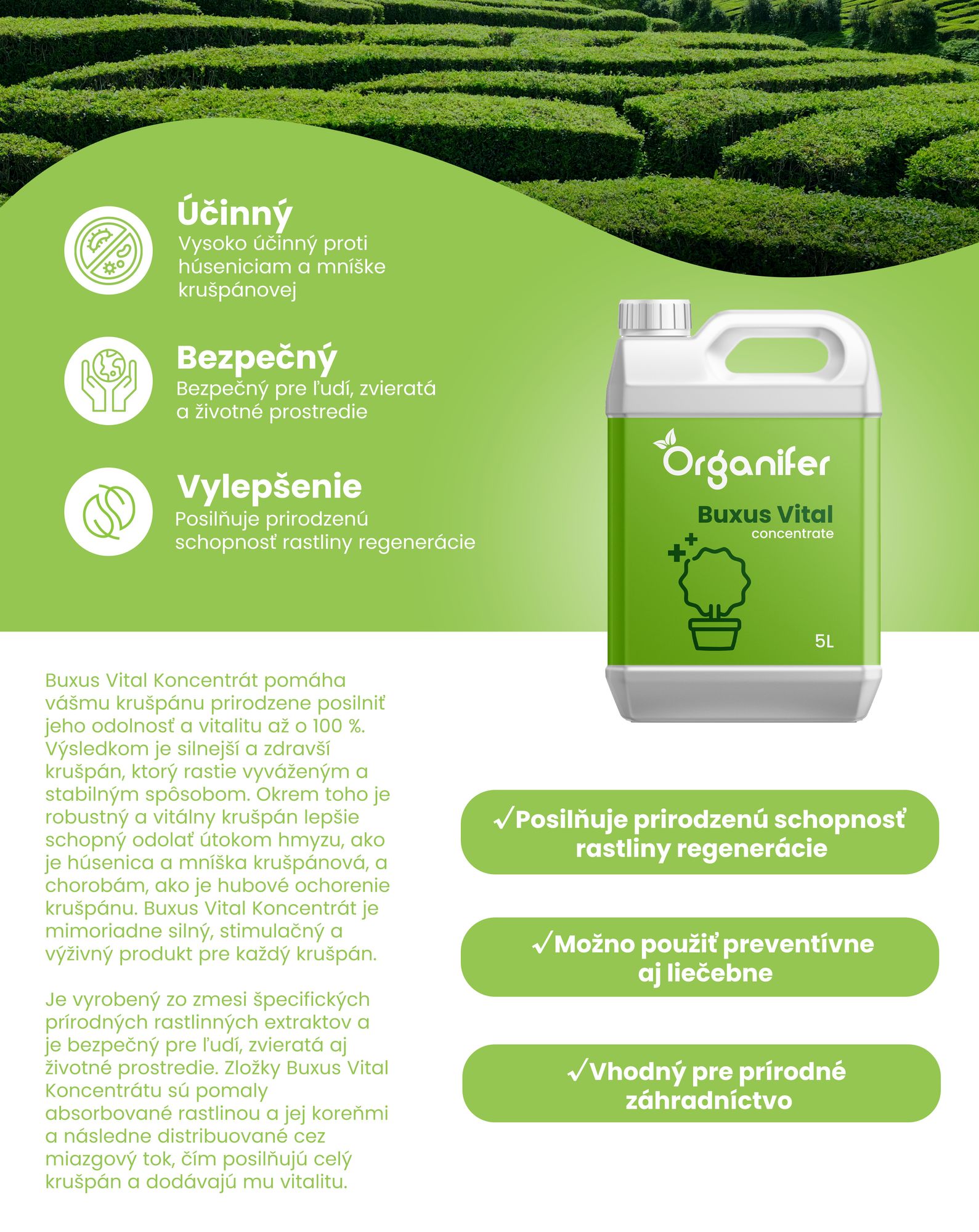 Buxus Vital 5 l – Koncentrát na 500 metres of boxwood hedge