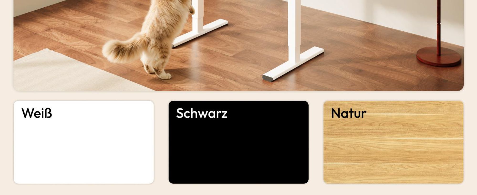 SANODESK QS1 Höhenverstellbarer Schreibtisch Elektrisch EINTEILIGE TISCHPLATTE, 4 Speicherplätzen, Haken & Kabelmanagement, 120x60cm (Weiß)