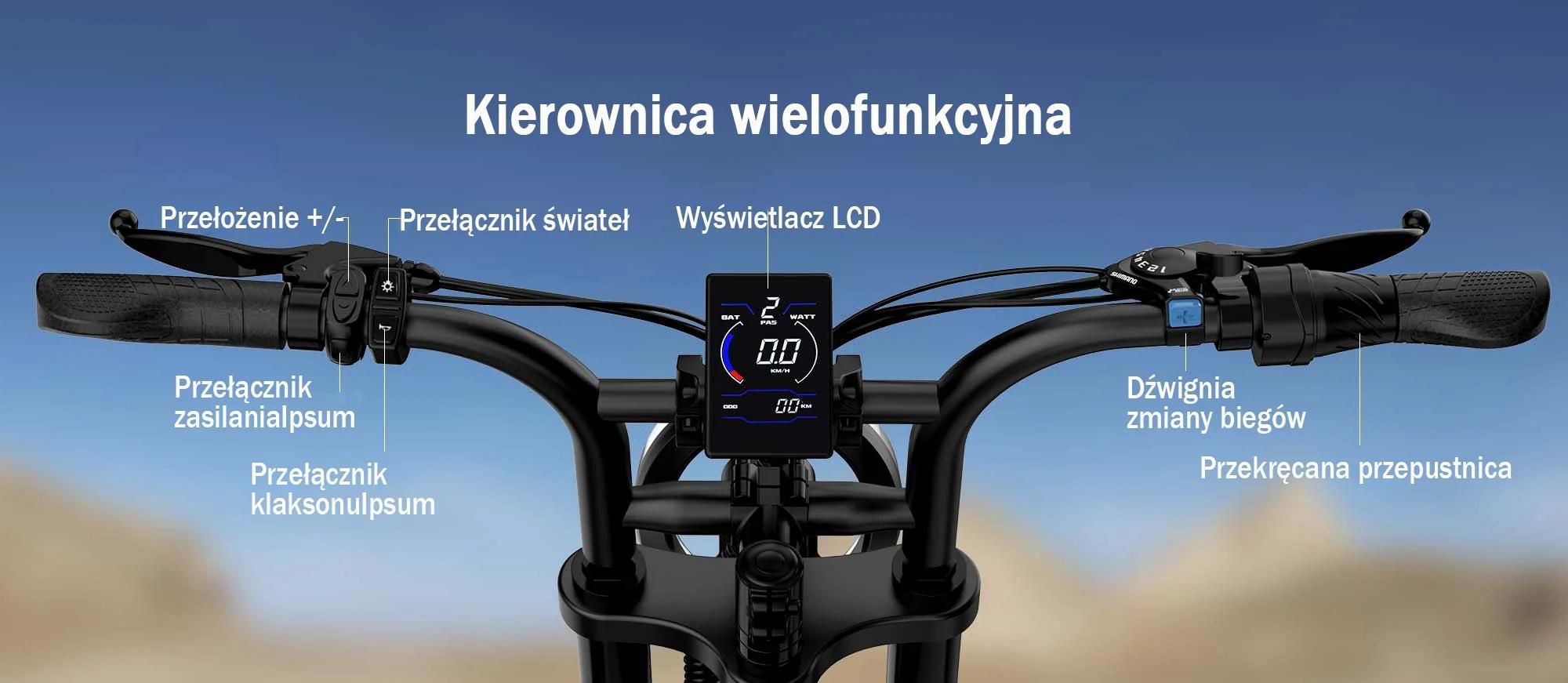 URLIFE T2 Rower Elektryczny - Silnik 250W Bateria 48V 15.6Ah Hamulce Tarczowe Tryb wspomagania pedałowania - Czarny