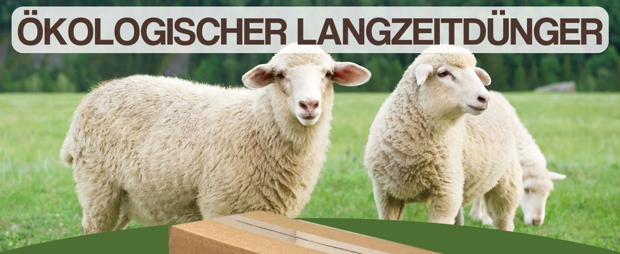 GreenPanda Schafwollpellets Dünger - 4kg Organischer Langzeitdünger - Schafwolle Dünger für Garten, Haus & Zimmerpflanzen mit KALI-BOOST