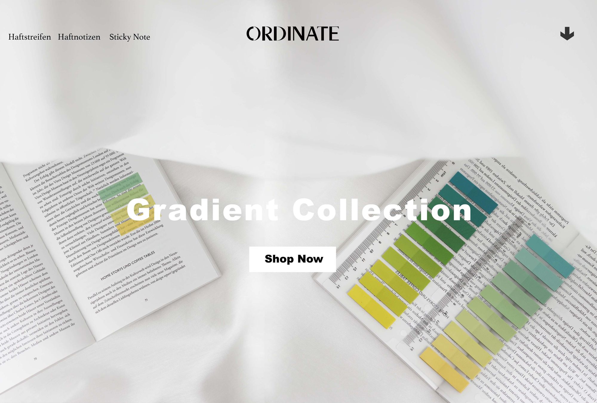 Ordinate-Citrus Green 200 Stück Sticky Notes, Transparent Haftnotizen zum Markieren, Haftstreifen, Seitenmarkieren, Ästhetischer Haftnotizzettel