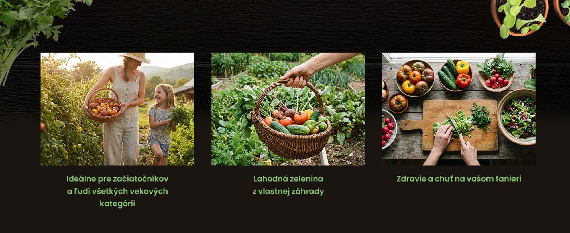 Green Harvest Súprava semien zeleniny – 20 druhov, 20 vrecúšok, osivo do záhrady