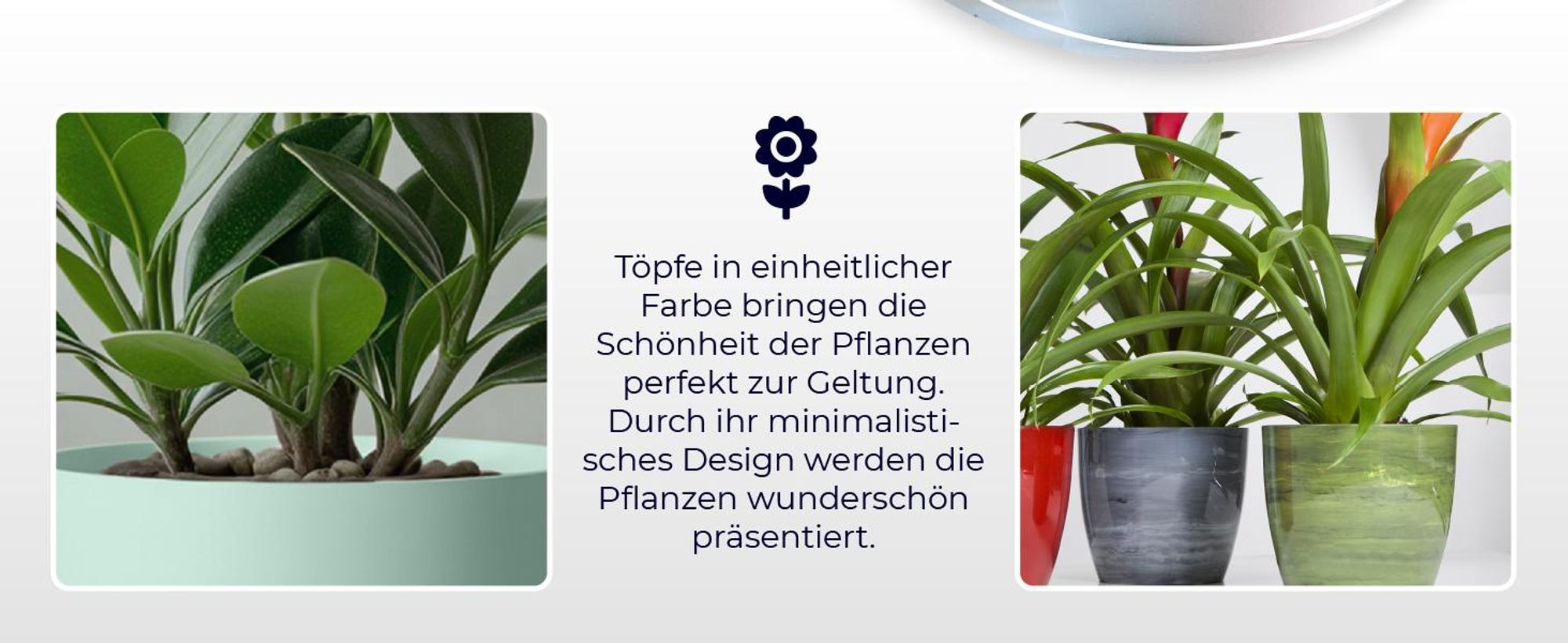 KADAX Matte Blumentopf "Agen", Pflanzkübel mit Untersetzer, Rosa, 20 cm
