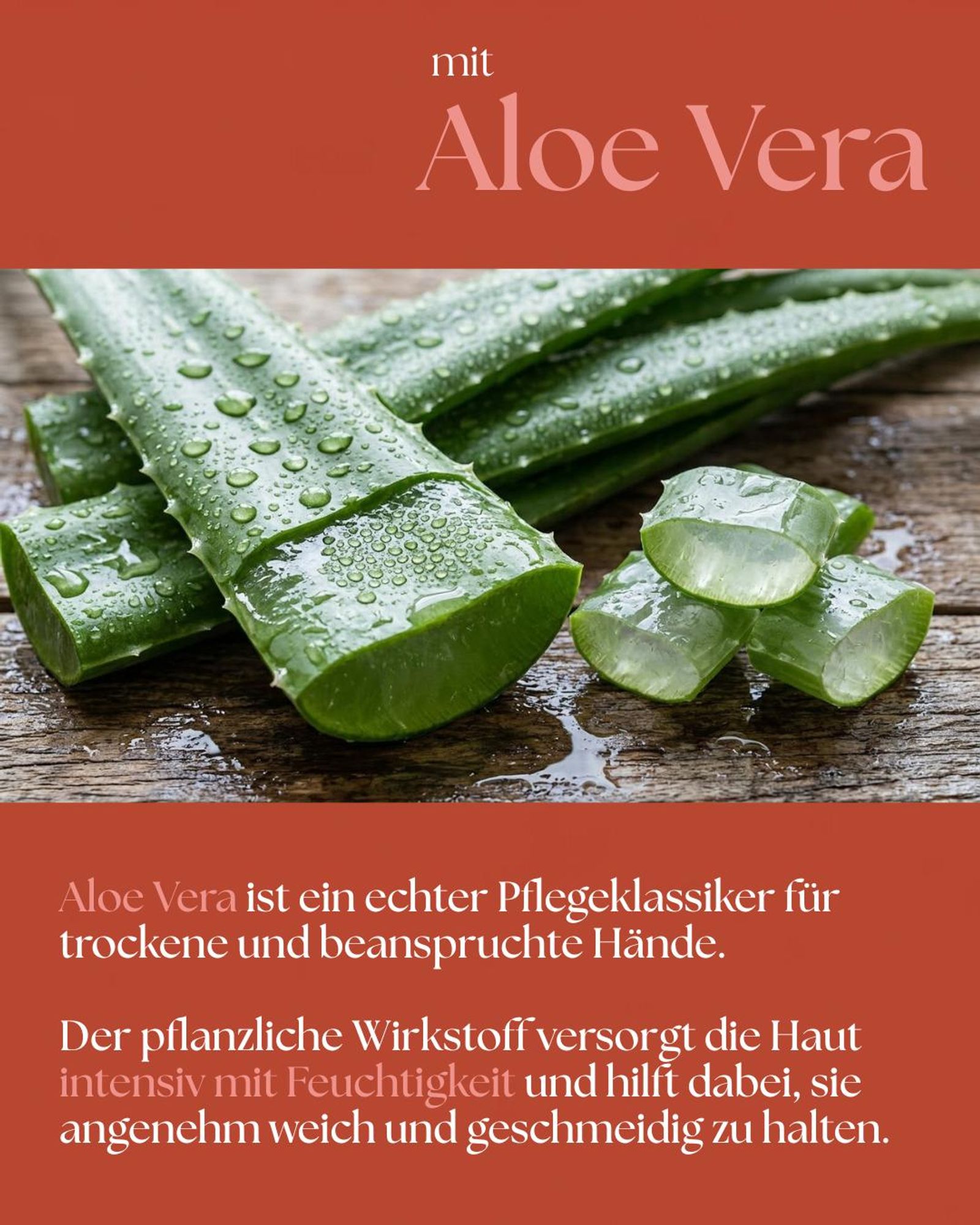 VALENTIN Kosmetik Handcreme Mandarine & Jasmin mit Sheabutter, Aloe Vera, Kamillenblütenextrakt & Vitamin E 300ml