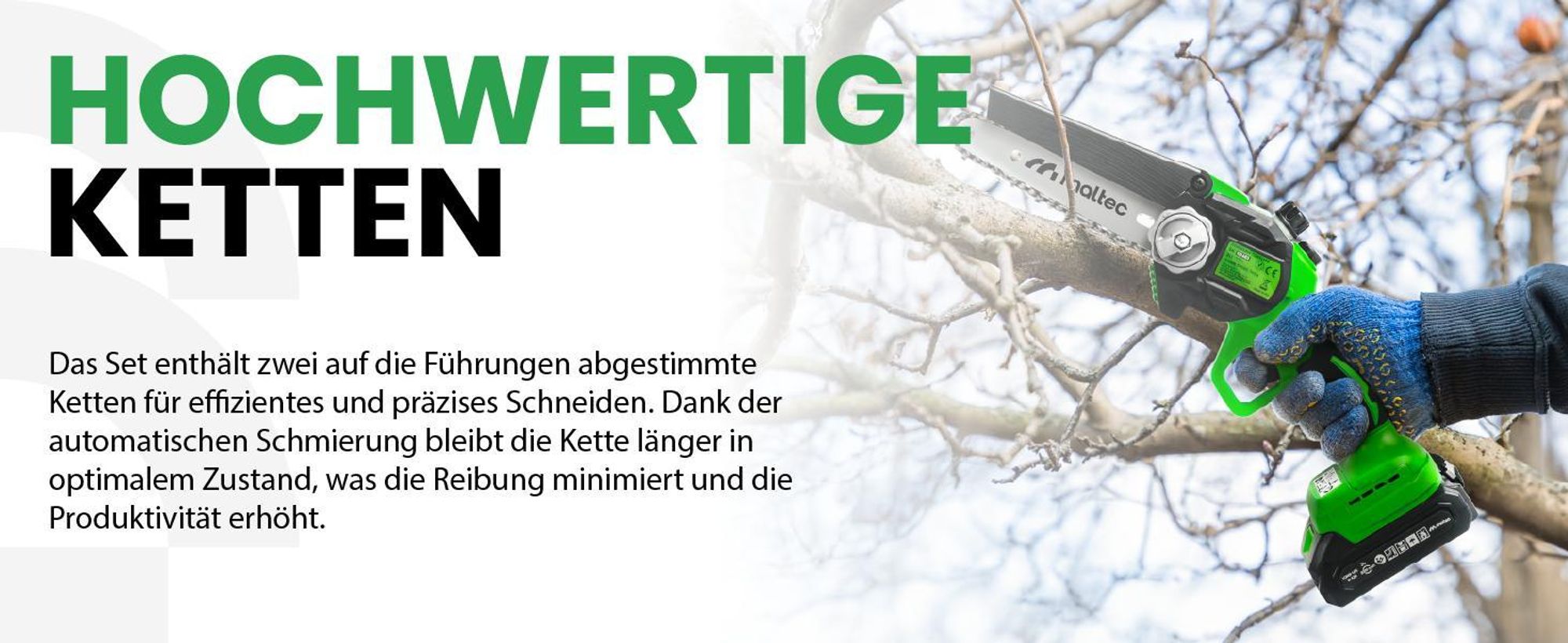 Elektro Handkettensäge mit 2 Akku und Führungen 6+8“