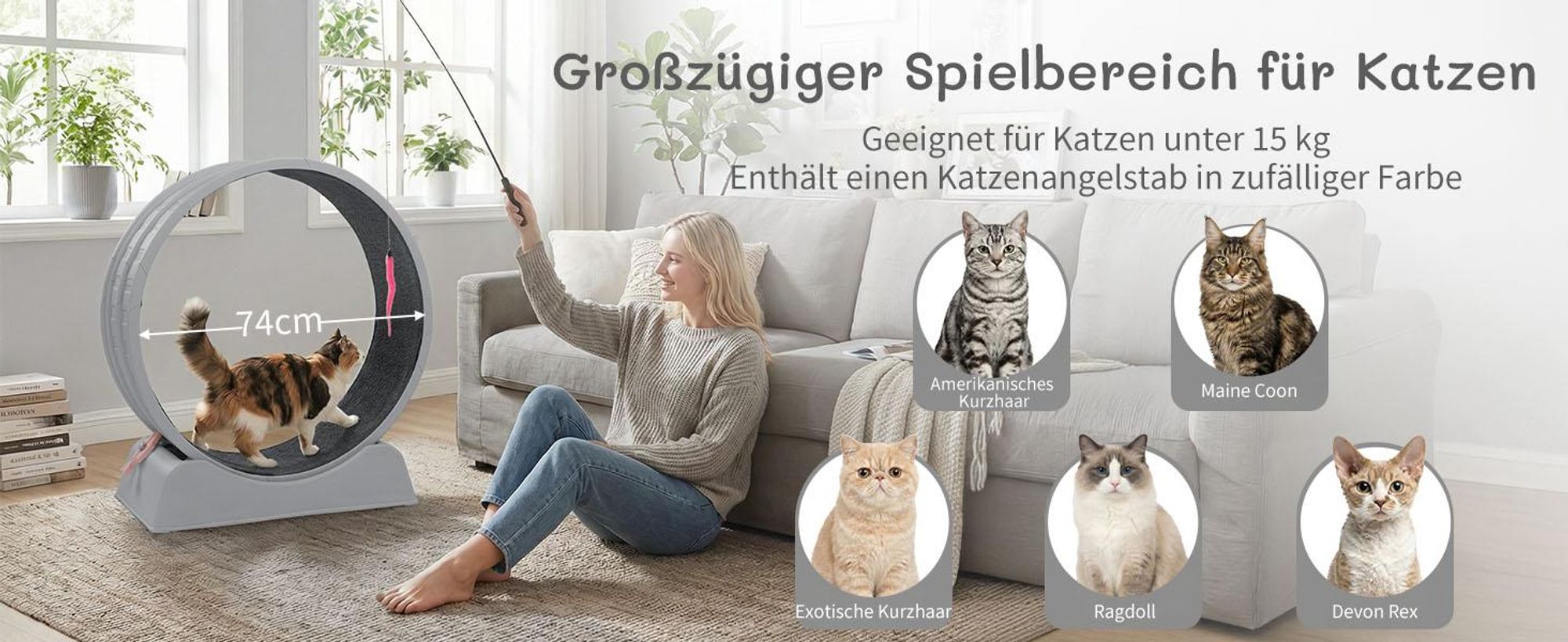 FCH Katzenlaufrad, Laufband für Katzen, Innendurchmesser 80cm, PP-Kunststoff, leise Laufband und Sicherheitsschloss-Design, Grau