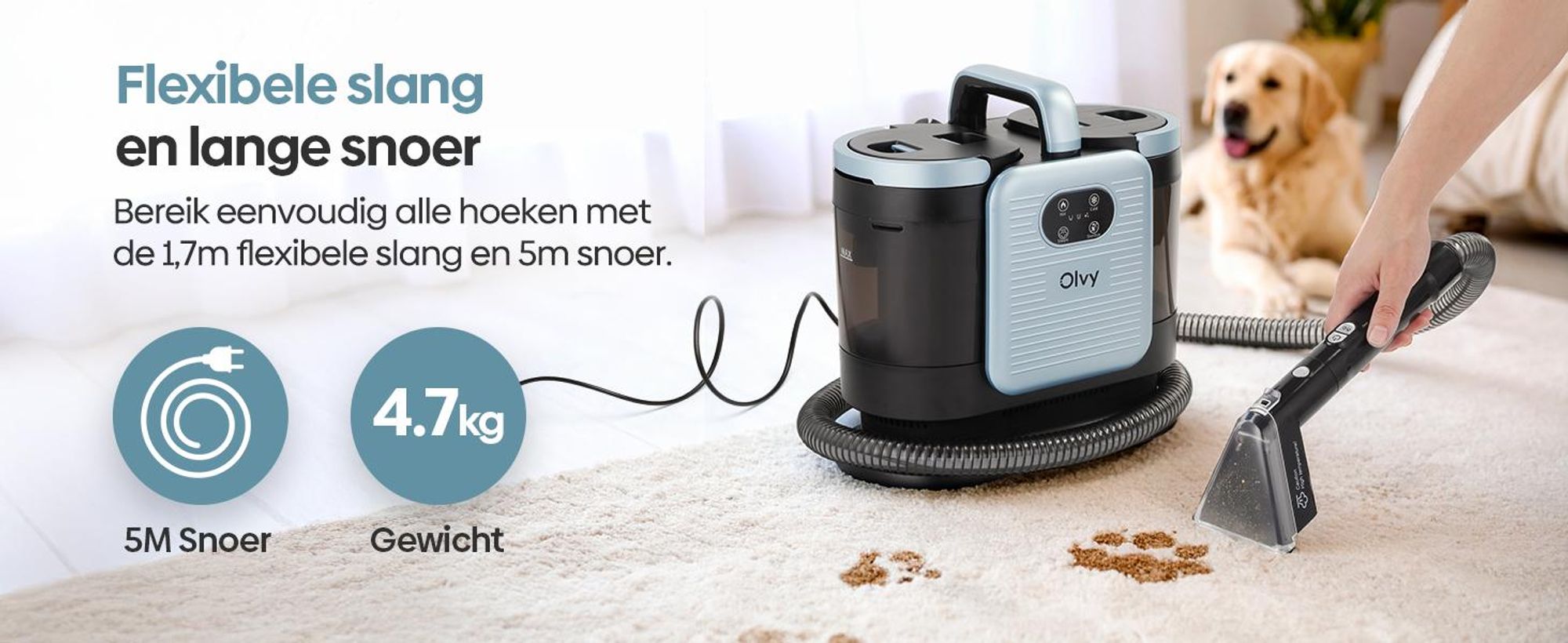 Olvy Waschsauger PRO: Stoomreiniger voor meubels, tapijtreiniger inclusief accessoires, natzuiger voor banken, matrassen, auto's en tapijten