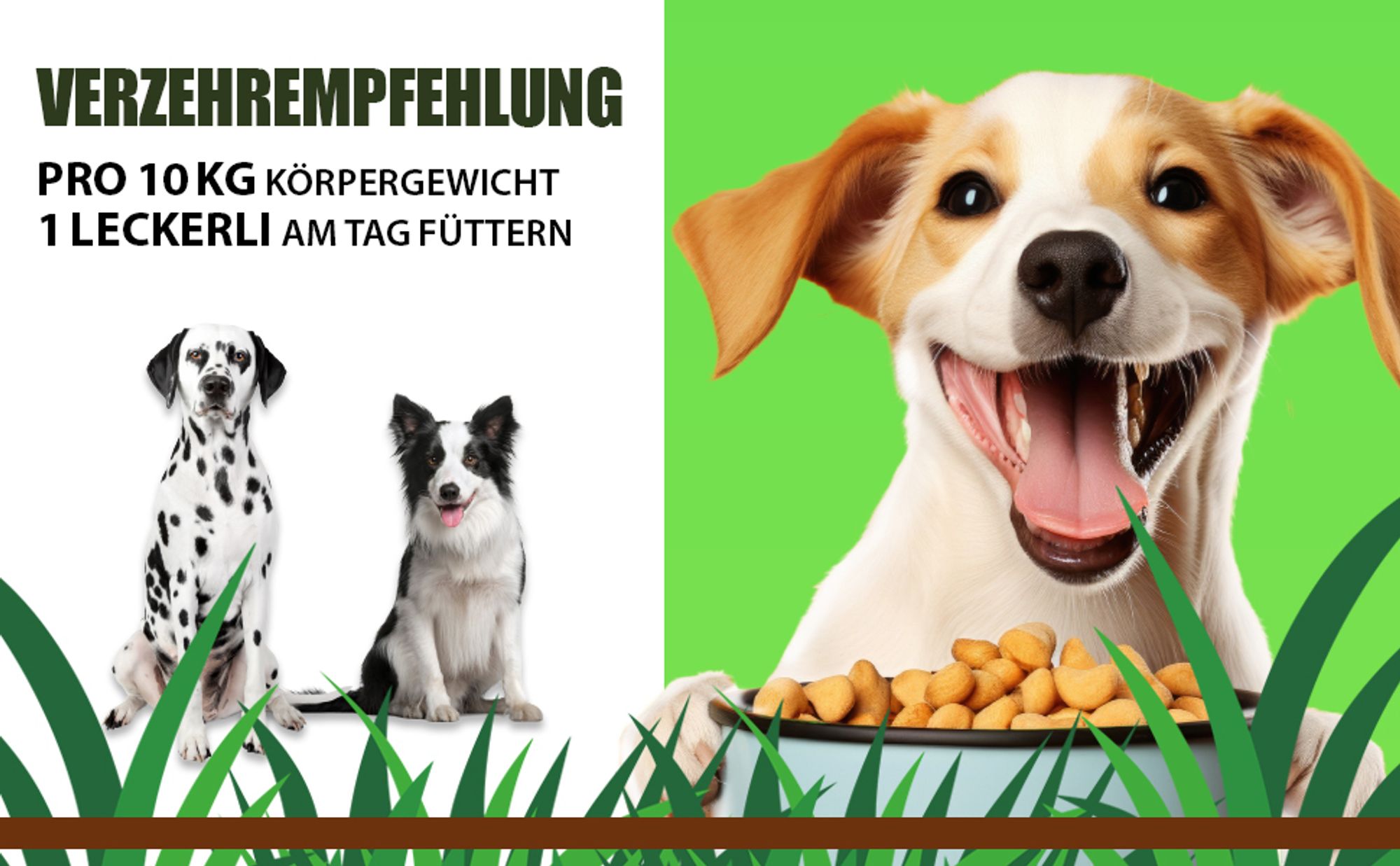 Saint Nutrition® Gras + Kot Nascher Leckerlis für Hunde – Für ein bessere Verdauung – und einen gesunden Magen - Darm Trakt - Verdauungsleckerli