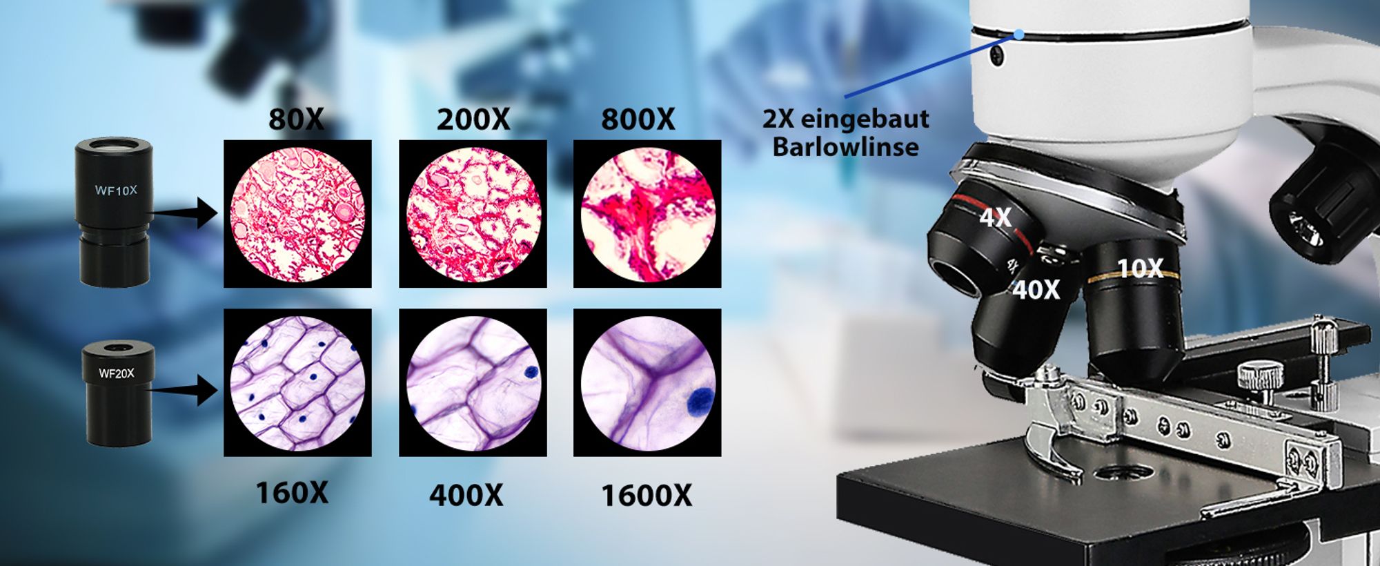 Svbony SV605 Mikroskop, 80x-1600x Binokulares Mikroskop, Dual LED Ilumination, für Studenten, -Unterricht, Schülerlabor, Experiment