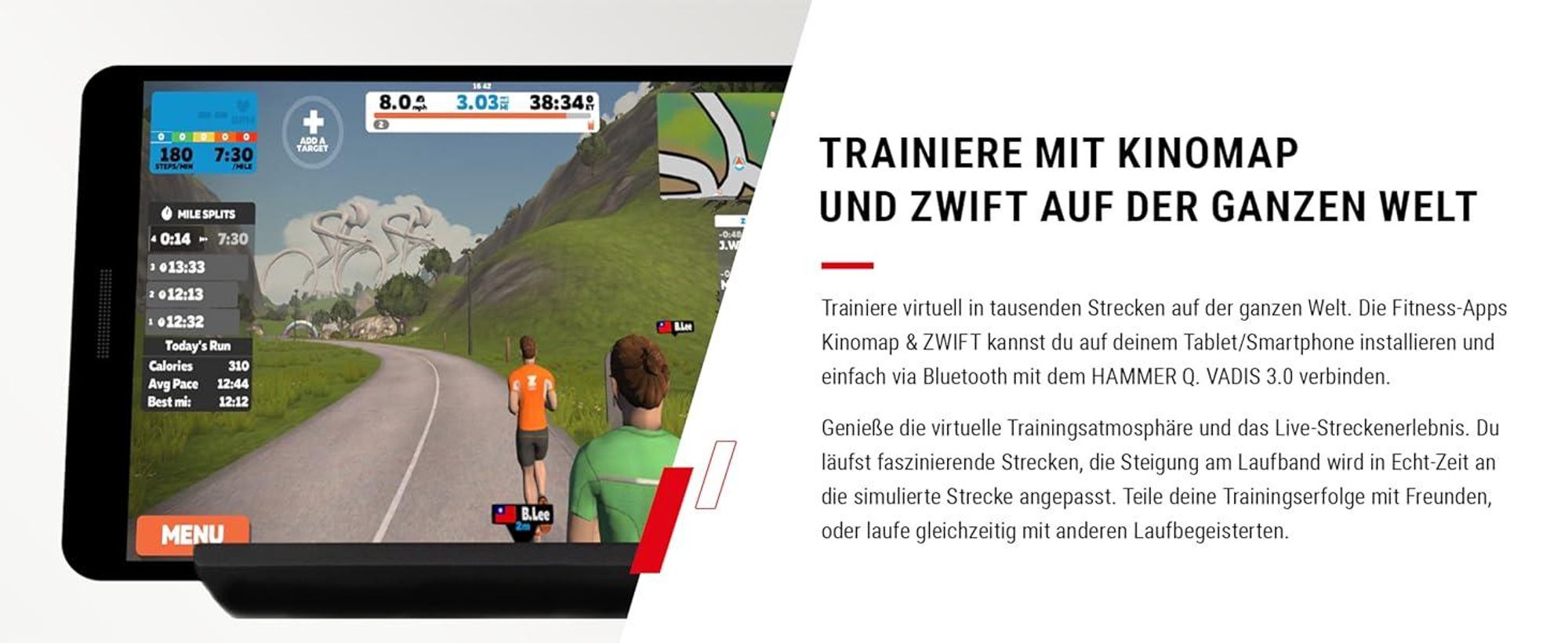 HAMMER Laufband Q. Vadis 3.0, 12 Programme, 5 PS, 18 km/h, Kinomap, Zwift