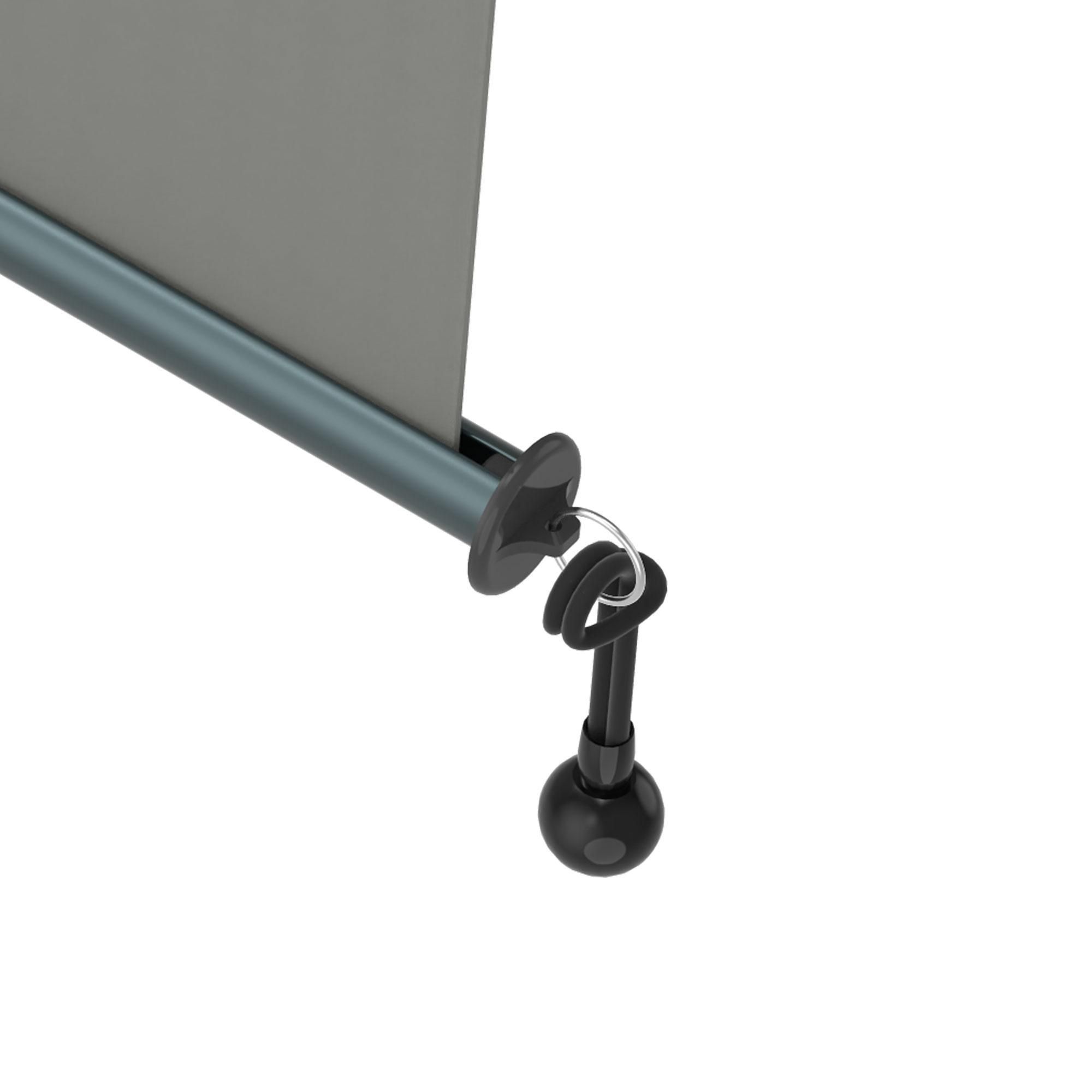Senkrechtmarkise Balkon 160x250cm Markise mit Kassette Sichtschutz Outdoor Anthrazit Beige paramondo Senkrechtmarkise 2000
