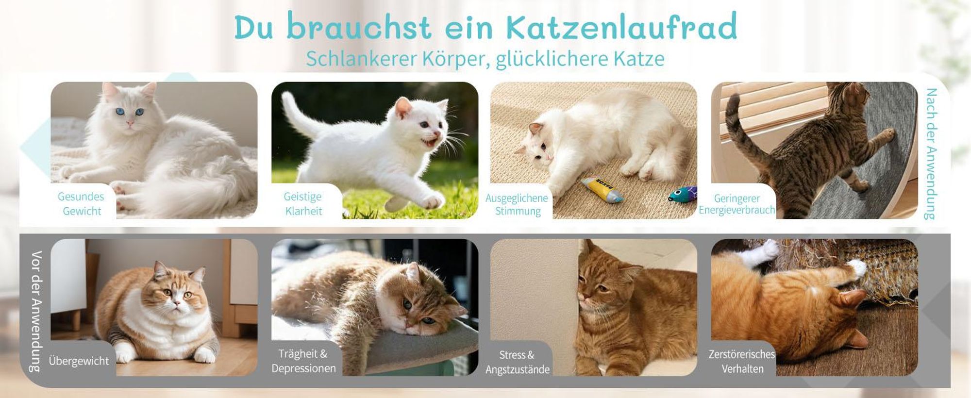 FCH Katzenlaufrad, Laufband für Katzen, Innendurchmesser 80cm, PP-Kunststoff, leise Laufband und Sicherheitsschloss-Design, Blau