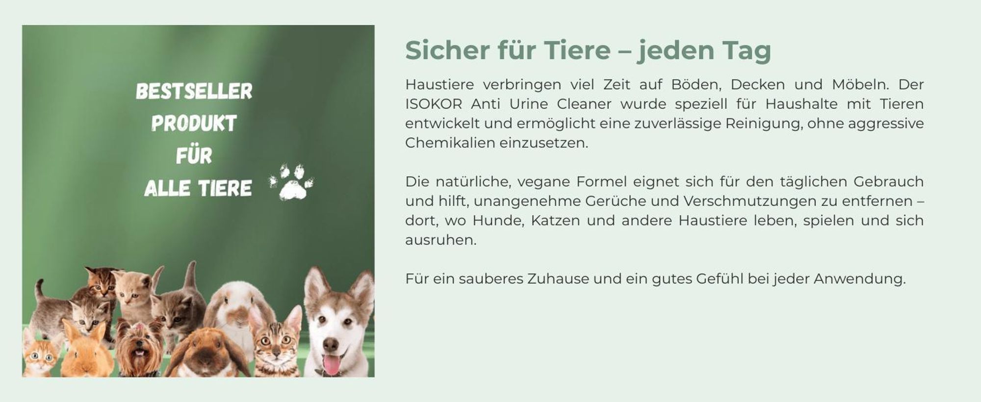 ISOKOR | Anti Urine Cleaner | 2 L + 500 ml | Natürlicher veganer Hundeurin-Entferner |Geruchsneutralisierer & Fleckenreiniger