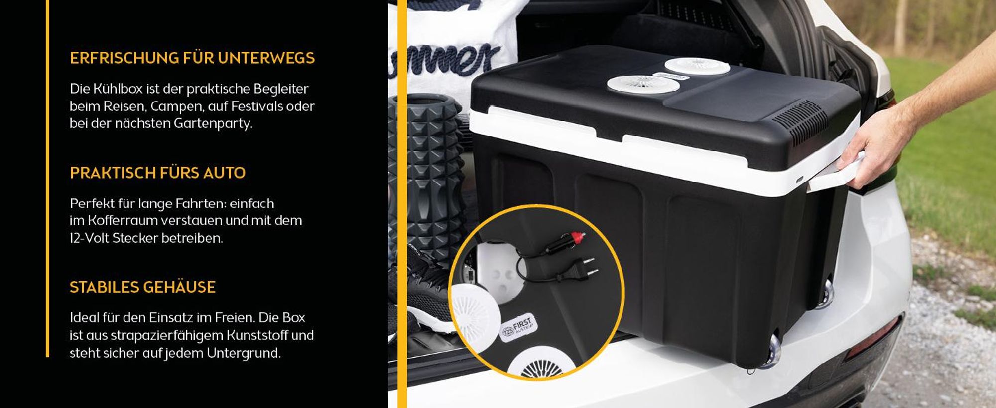 TZS First Austria - Kühlbox 45L elektrisch 12V 230V Anschluss für Auto & Steckdose - Thermoelektrisch - Schwarz