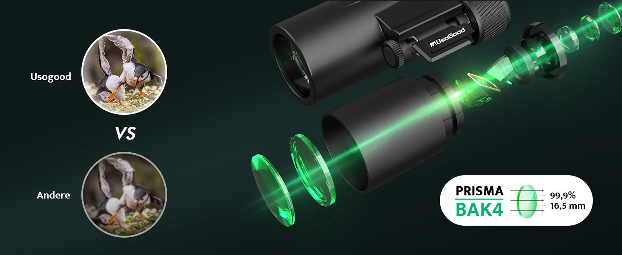 Hochleistungsfernglas 10x42 HD fernglas Erwachsene mit BAK4-Prisma und FMC-Objektiv Kompaktfernglas