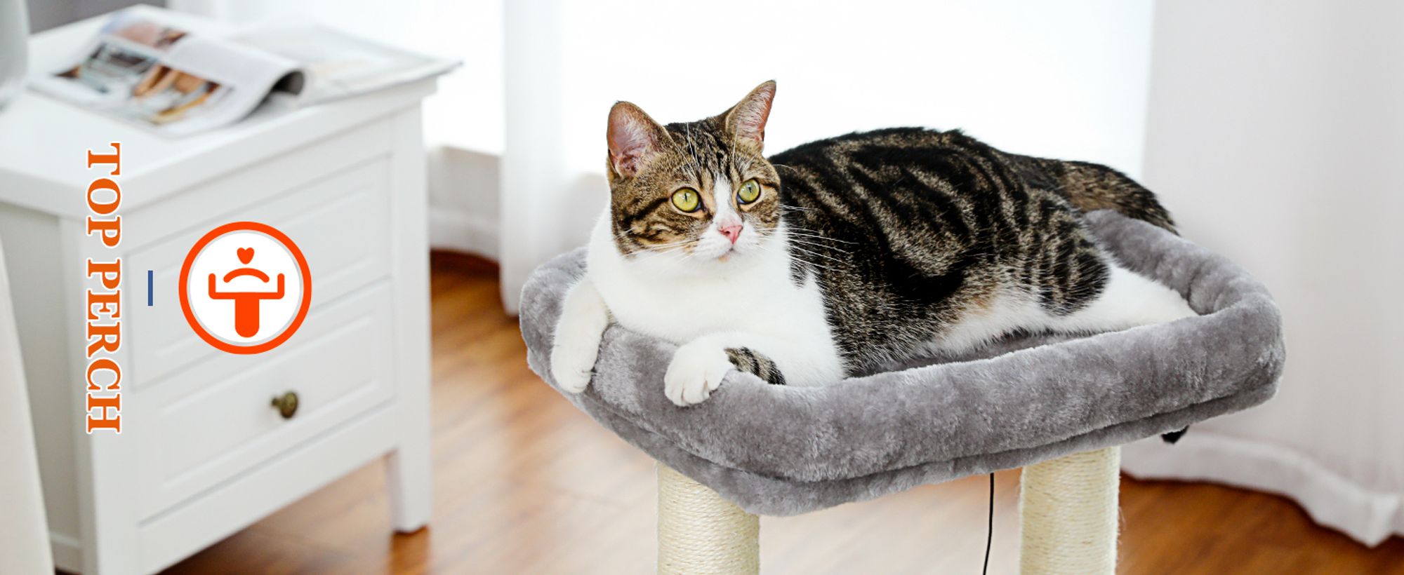 PAWZ Road Kleiner Kratzbaum 70cm Grau