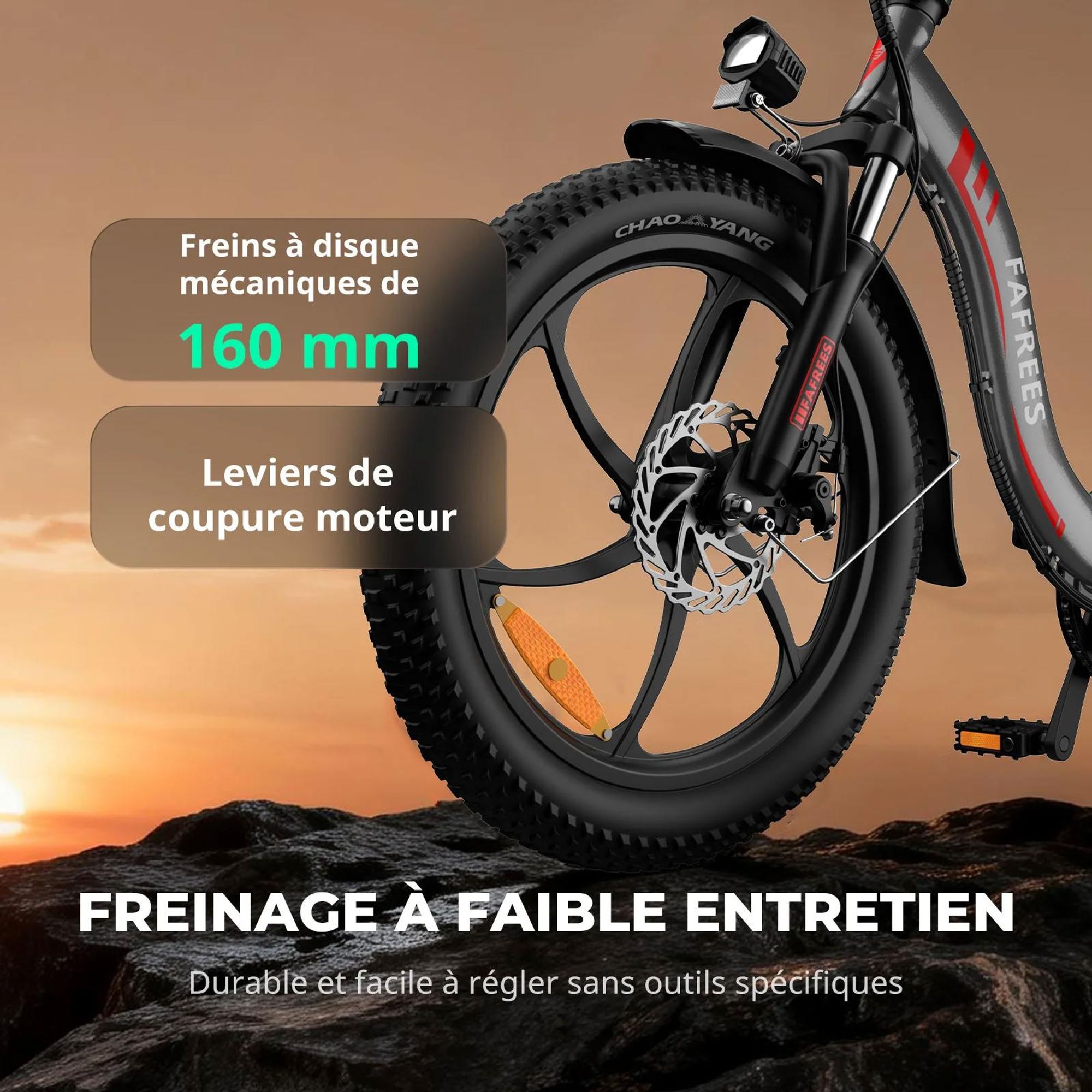 FAFREES F20 Vélo Électrique - Moteur 250W Batterie 36V18Ah 20'' Freins Mécaniques - Gris