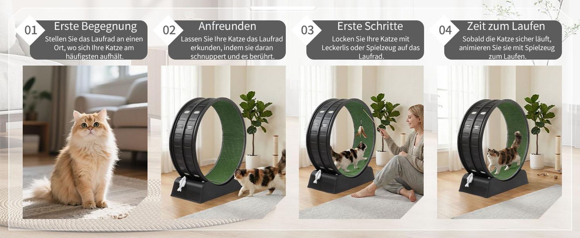 FCH Katzenlaufrad, Laufband für Katzen, Innendurchmesser 80cm, PP-Kunststoff, leise Laufband und Sicherheitsschloss-Design, Schwarz