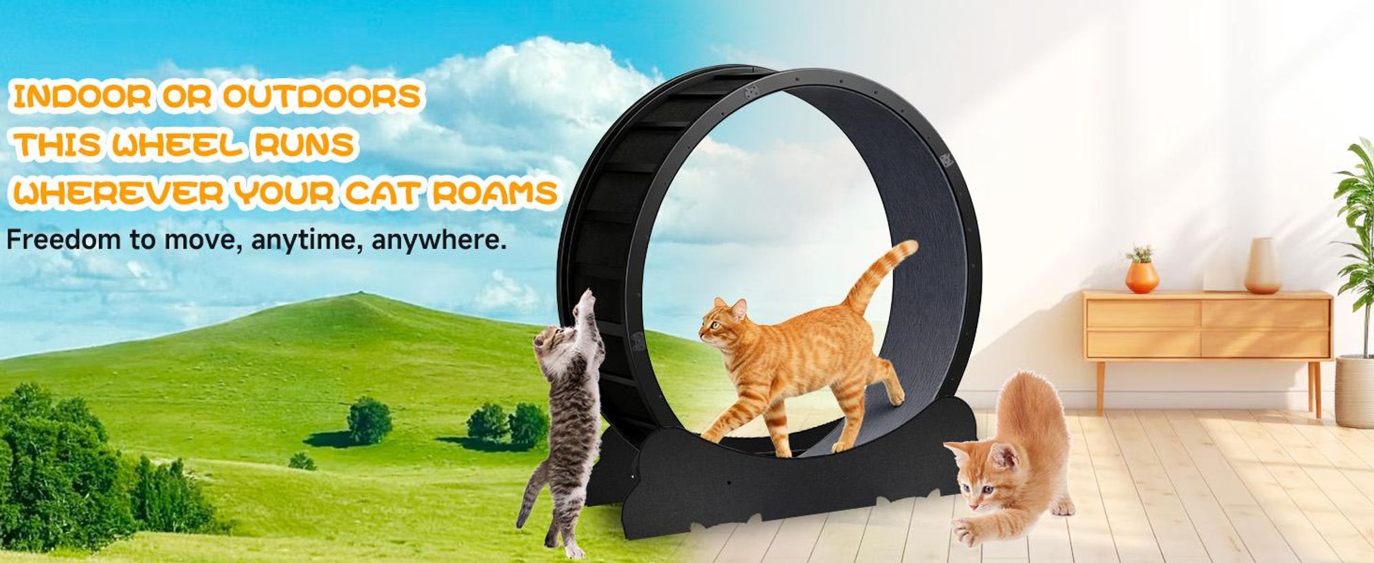 GTPLAYER ruota da corsa per gatti, ruota da corsa per gatti, extra large 100 cm, ruota da corsa ultra silenziosa con tappeto e giocattoli rimovibili, adesivo, blocco, adatto