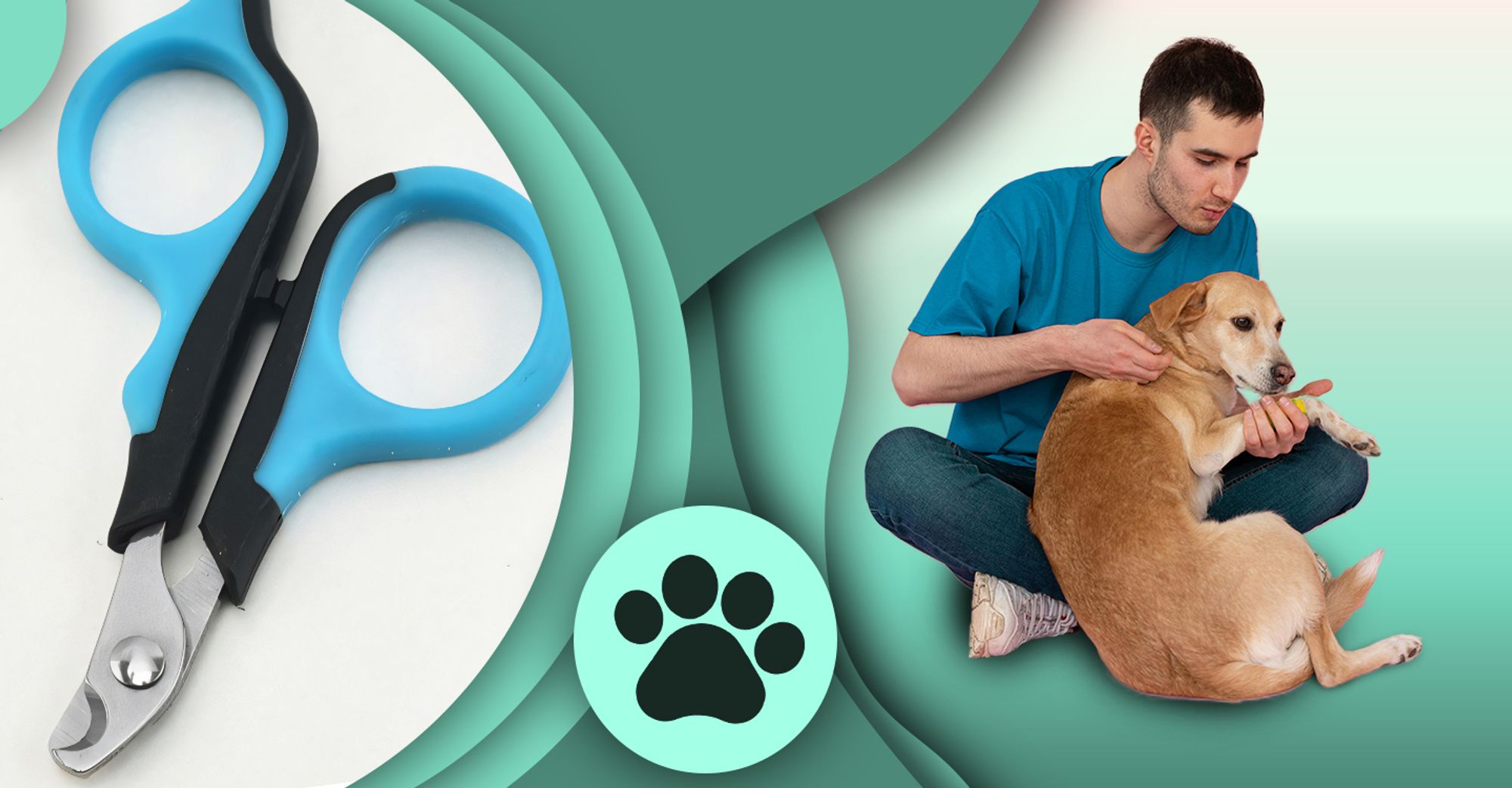 Pfotensichere Hunde, Krallenschere Katzen, Krallenschneider, Krallenzange, Nagelfeile, Retoo