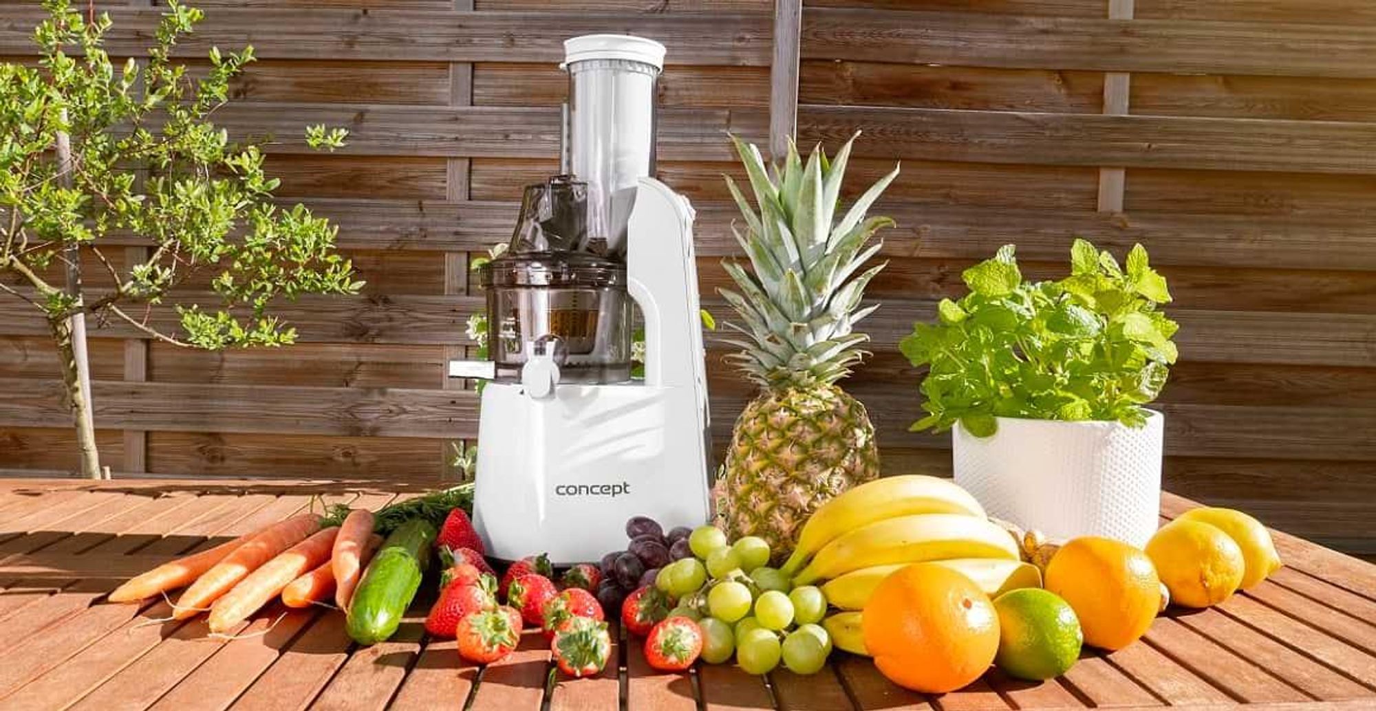 Concept LO-7066, Odšťavovač, Stříbrná, Bílá, 60 ot/min, 1 l, 1 l, 7,5 cm