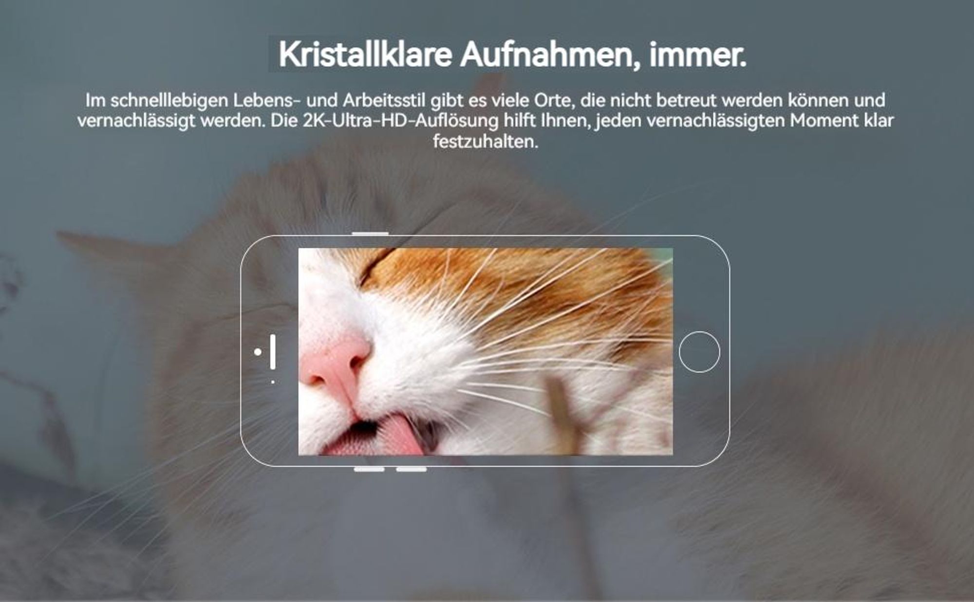 Überwachungskamera Innen 6MP QHD 360° Indoor Hundekamera Babyphone Automatische Verfolgung 2-Wege-Audio Bewegungserkennung Nachtsicht