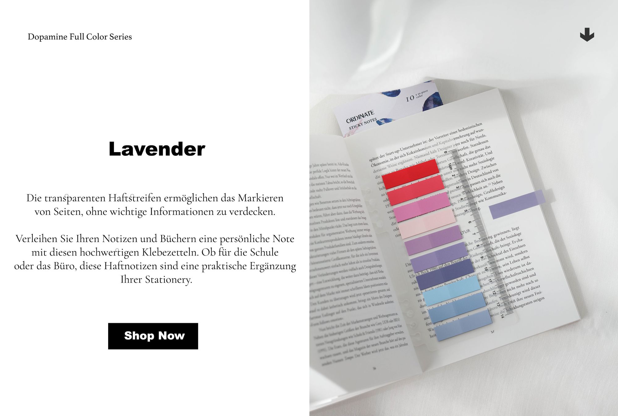 Ordinate-Lavender 200 Stück Haftnotizen Tabs, Gray Stile Pagemarker Selbstklebend Pastell Beschreibbare Haftstreifen Klebezettel mit Lineal
