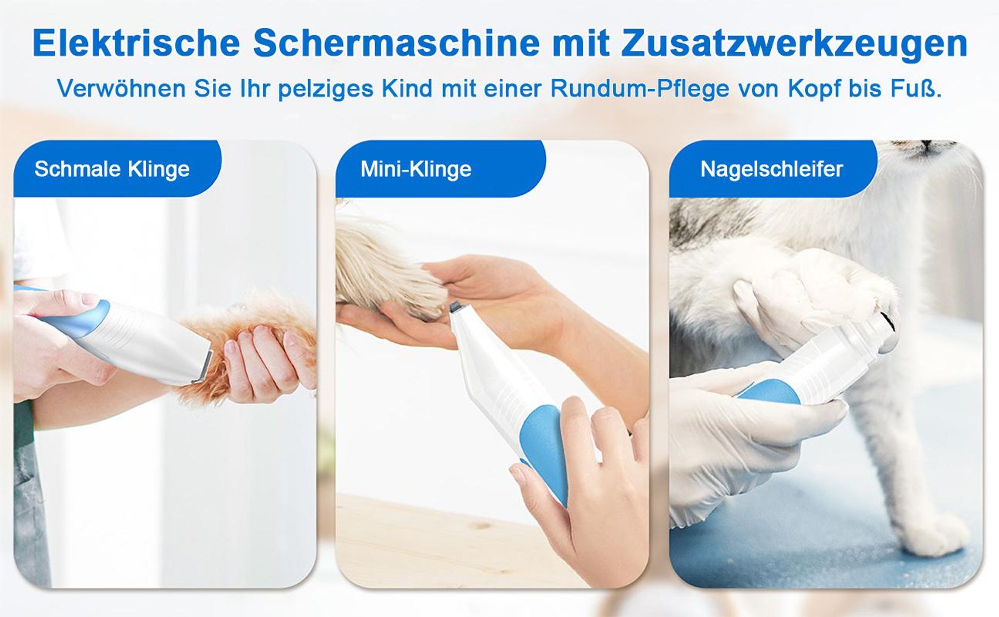 Tierhaarpflege-Set mit Absaugung 5 in 1, Hundeschermaschine & Tierhaarstaubsauger, 13 kPa, 4,5 L Staubbehälter, leise, für Hunde und Katzen
