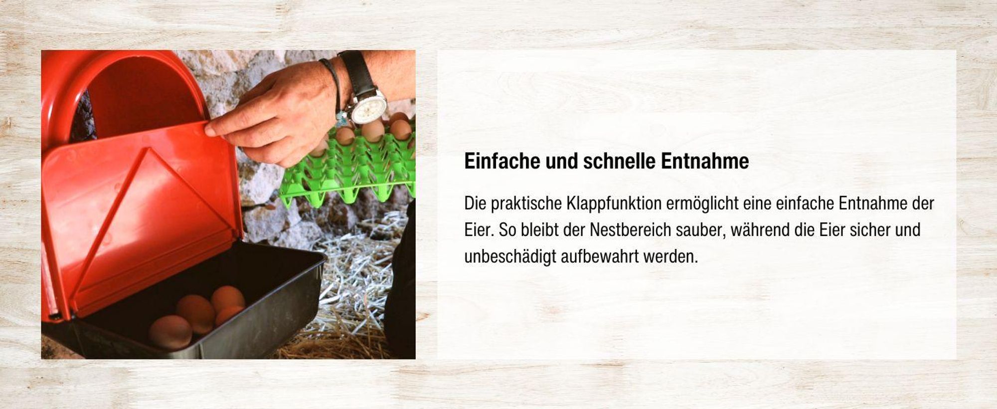 horizont Legenest mit Eiablage, Hühnernest aus Kunststoff, Abrollnest für bis zu 6 Hühner, zur Wandmontage