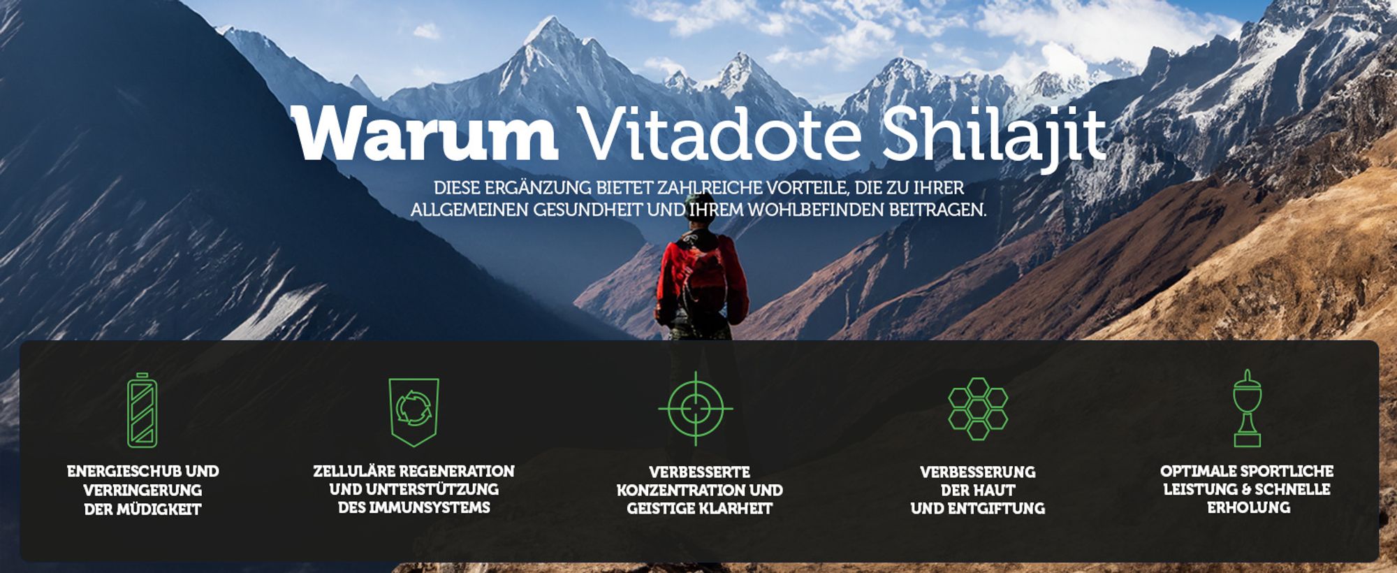 Alle gesundheitlichen Vorteile von Shilajit auf einen Blick