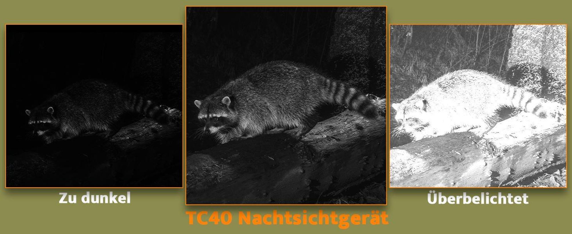 Usogood 4G LTE Wildkamera mit SIM Karte Solar, 2K Video Wildtierkamera mit Handyübertragung APP, GPS, Nachtsicht, 0.2s Auslöser