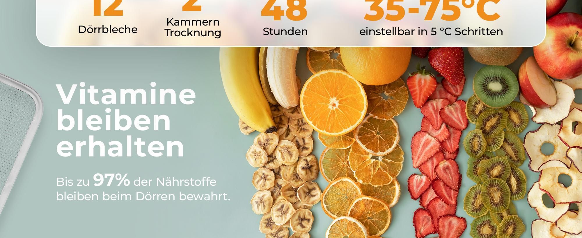 Balter Dörrautomat Edelstahl mit 12 Etagen & 2 Kammern, 1000 W, Dörrgerät, LED-Display, 48-Stunden-Timer und Temperaturregelung, Dehydrator, BPA-frei