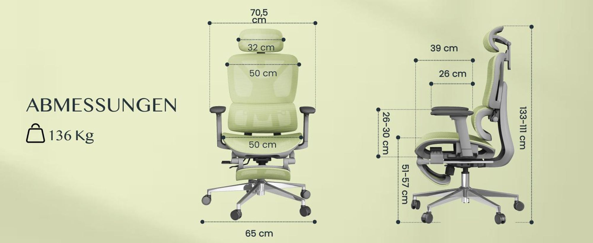 FLEXISPOT ErgoX Ergonomischer Bürostuhl mit Fußstütze, 3D-Armlehnen & Kopfstütze, 5D-verstellbare Rückenlehne, Tragfähigkeit von 136 kg, Grün